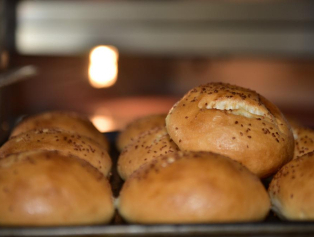 Glütensiz Yaşam Projesi Tamamlandı Galeri