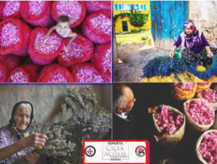 Gül Kokulu Lavanta Diyarı Fotoğraf Sergisi İYAŞ’ta Galeri