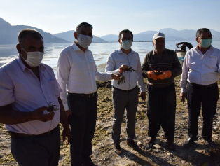 Eğirdir Sorkuncak ve Göktaş Köylerinde Yerinde Tespit Ziyaretleri Galeri