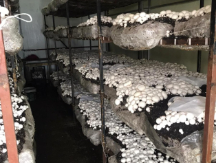 Karanlıktan Aydınlığa El Ele Projesinde İlk Hasat Gerçekleşti Galeri