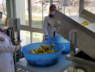 “İş’te Kadın Güçlü Ekonomi Projesi” Tamamlandı Galeri