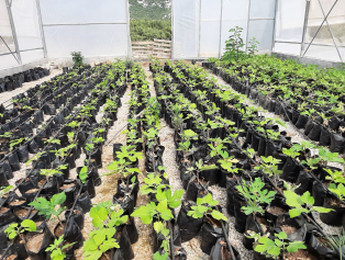 Kocaalilerde Döngüsel Ekonomi Çemberi Kuruldu Galeri