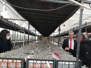 Batı Akdeniz Tıbbi ve Aromatik Bitkiler Platformu Toplantısı Yapıldı Galeri