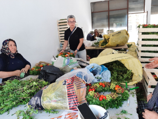 Kocaalilerde Döngüsel Ekonomi Çemberi Kuruldu Galeri