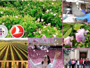 Turizm Profesyonellerine Potansiyeli Tanıtım Turu Galeri