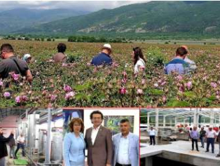 Gül Üretimi ve Gül Turizminde Isparta Kazanlık İşbirliği  Galeri