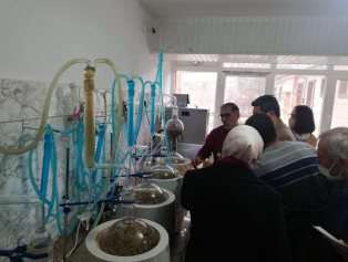 Tıbbî ve Aromatik Bitki Yetiştiriciliği ve İşleyiciliği Eğitim Programı Tamamlandı Galeri