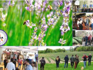 Lavanta Kokulu Turizmde Ufuk Açıcı Bilgilenme Gezisi Galeri