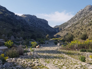 Ekoturizmde Yeni Rota Çalışmaları Sürüyor  Galeri