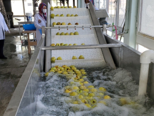 “İş’te Kadın Güçlü Ekonomi Projesi” Tamamlandı Galeri