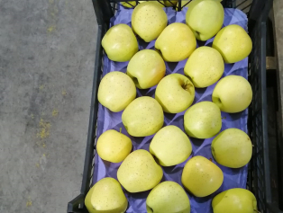 Senirkent'e Plastik Kasa Fabrikası Kurulacak Galeri