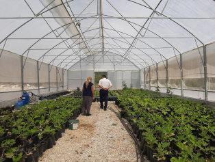 Kocaalilerde Döngüsel Ekonomi Çemberi Kuruldu Galeri