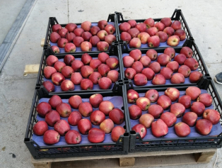 Senirkent'e Plastik Kasa Fabrikası Kurulacak Galeri