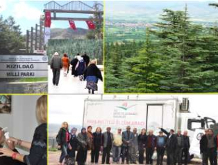 Alternatif Sağlık Merkezi ve Sağlık Turizmi Hedefli Çalışma  Galeri