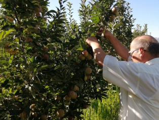 Senirkent'e Plastik Kasa Fabrikası Kurulacak Galeri