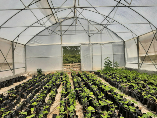 Kocaalilerde Döngüsel Ekonomi Çemberi Kuruldu Galeri