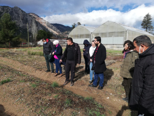 Tıbbî ve Aromatik Bitki Yetiştiriciliği ve İşleyiciliği Eğitim Programı Tamamlandı Galeri