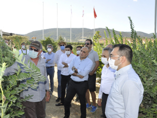BAKA Heyeti Mavi Yemiş Üretim Firması Oragro Tarım'ı Ziyaret Etti Galeri