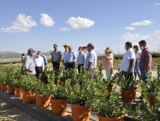 BAKA Heyeti Mavi Yemiş Üretim Firması Oragro Tarım'ı Ziyaret Etti Galeri