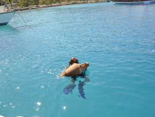 Likya / Kaş Su Altı Sanat ve Kültür Parkı Projesi’nde Son Aşamaya Gelindi Galeri