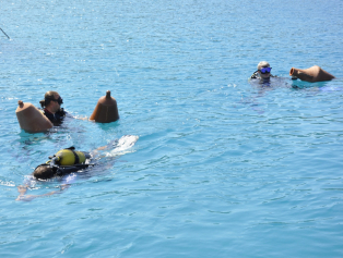 Likya / Kaş Su Altı Sanat ve Kültür Parkı Projesi’nde Son Aşamaya Gelindi Galeri