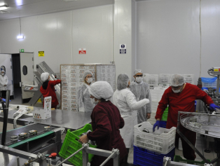 2022 Yılı Faizsiz Kredi Desteklerimiz Kapsamında Firma Ziyaretlerimiz Başladı Galeri