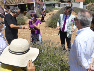 Bölgemizdeki Diplomatik Misyon Temsilcileri ve ANSİAD Yönetim Kurulu Üyeleri Ajansımız Koordinasyonu ile Lavanta Kokulu Köy Kuyucak’a İnceleme Ziyareti Gerçekleştirdi Galeri