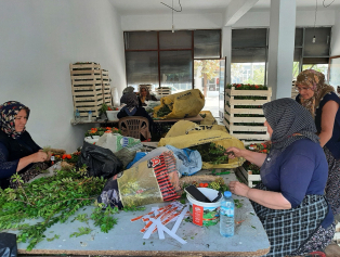 Kocaalilerde Döngüsel Ekonomi Çemberi Kuruldu Galeri