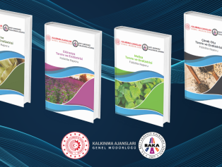 Tıbbi ve Aromatik Bitkilerin Tarımı ve Endüstrisine Yönelik Yeni Fizibilite Raporlarımız Yayımlandı Galeri