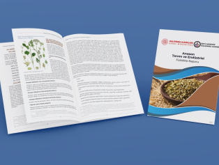 Anason Tarımı ve Endüstrisi Fizibilite Raporumuz Yayımlandı Galeri