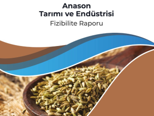 Anason Tarımı ve Endüstrisi Fizibilite Raporumuz Yayımlandı Galeri
