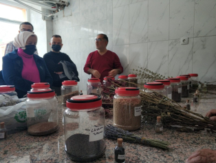 Tıbbî ve Aromatik Bitki Yetiştiriciliği ve İşleyiciliği Eğitim Programı Tamamlandı Galeri