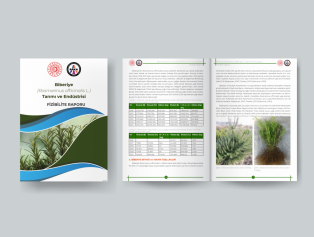 Tıbbi ve Aromatik Bitkilerin Tarımına Yönelik Yeni Fizibilite Raporlarımız Yayımlandı Galeri