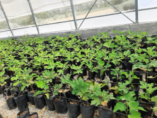 Kocaalilerde Döngüsel Ekonomi Çemberi Kuruldu Galeri