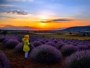 CreSInMed PROJESİ - Akdeniz Bölgesindeki Kırsal Turizm KOBİ'lerinin Rekabet Gücü ve Uluslararasılaşması Galeri