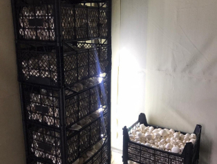 Karanlıktan Aydınlığa El Ele Projesinde İlk Hasat Gerçekleşti Galeri