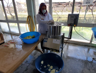 “İş’te Kadın Güçlü Ekonomi Projesi” Tamamlandı Galeri