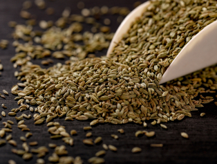 Rezene Tarımı ve Endüstrisi Fizibilite Raporumuz Yayımlandı Galeri