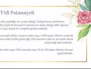 TR61 Bölgesi 2024-2028 Bölge Planı İhtisas Komisyonları Çalışmaları Başladı Galeri