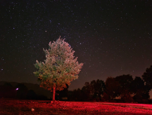 Köprülü Kanyon Milli Parkı’nda Karanlık Gökyüzü Ölçümleri Yapıldı Galeri