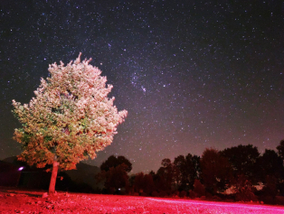 Köprülü Kanyon Milli Parkı’nda Karanlık Gökyüzü Ölçümleri Yapıldı Galeri