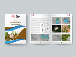 Tıbbi ve Aromatik Bitkilerin Tarımına Yönelik Yeni Fizibilite Raporlarımız Yayımlandı Galeri