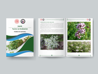 Tıbbi ve Aromatik Bitkilerin Tarımına Yönelik Yeni Fizibilite Raporlarımız Yayımlandı Galeri