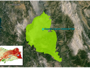 Köprülü Kanyon Milli Parkı Karanlık Park Adayı Oldu Galeri