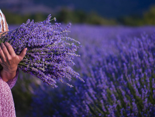 “Dört Mevsim Isparta‟ Turizm Temalı Ulusal Fotoğraf Yarışması Sonuçları Açıklandı Galeri