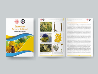 Tıbbi ve Aromatik Bitkilerin Tarımına Yönelik Yeni Fizibilite Raporlarımız Yayımlandı Galeri