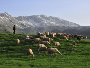 “Dört Mevsim Isparta‟ Turizm Temalı Ulusal Fotoğraf Yarışması Sonuçları Açıklandı Galeri