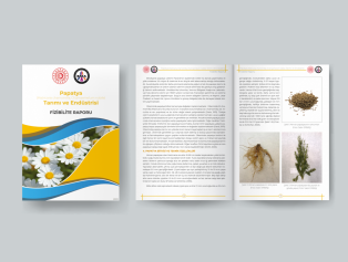 Tıbbi ve Aromatik Bitkilerin Tarımına Yönelik Yeni Fizibilite Raporlarımız Yayımlandı Galeri