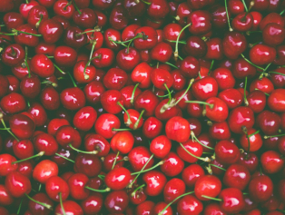 Isparta Sektörel İstişare Toplantıları Kiraz Üretimi ve Pazarlaması Teması İle Devam Ediyor Galeri