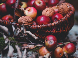 Isparta Sektörel İstişare Toplantıları Elma Üretimi ve Pazarlaması Teması İle Devam Ediyor Galeri